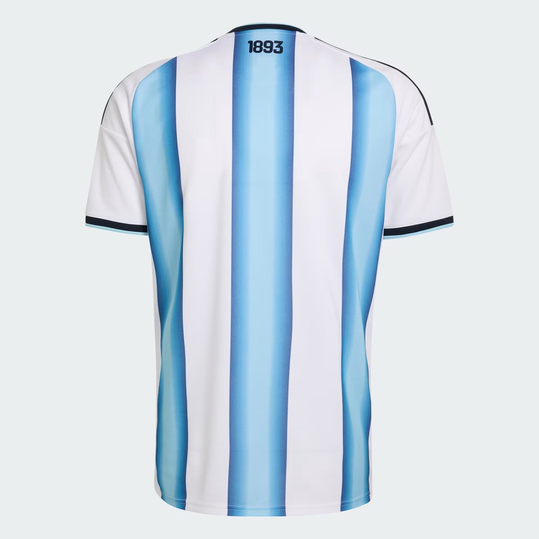 Camisa Torcedor Argentina 26